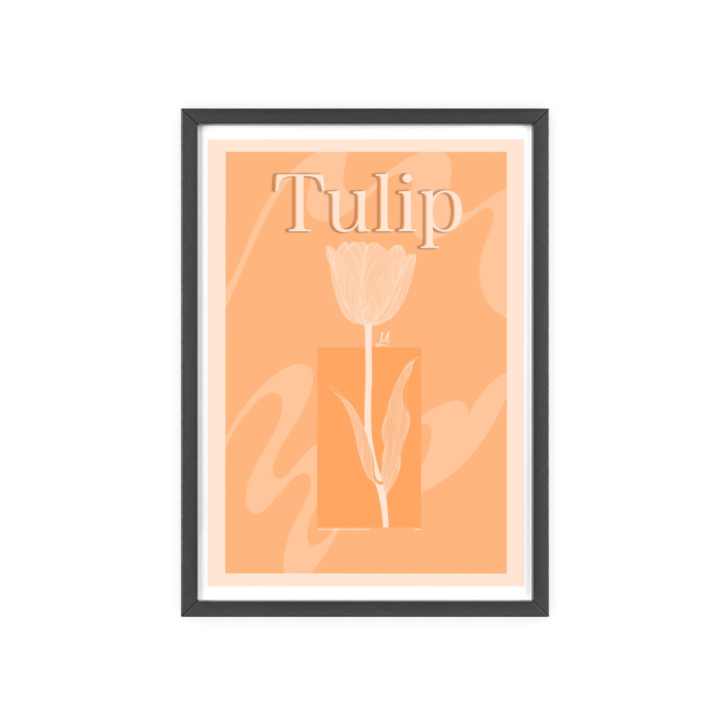 Tulip - The first edition to the - Flowers Of The World - serie. - Framed.