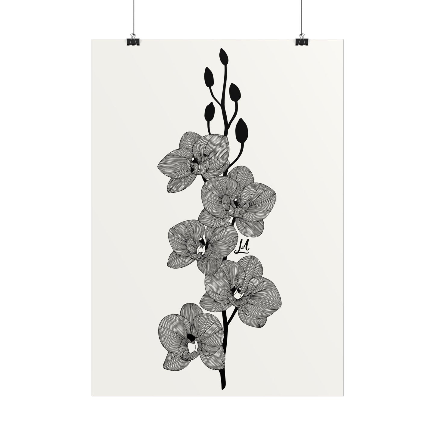 Elegant Orchid line artwork.