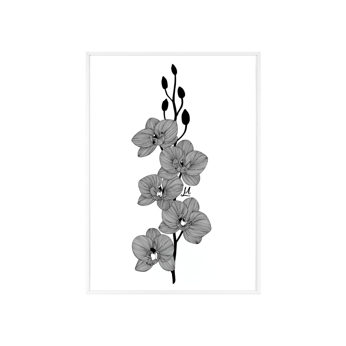 Elegant orchid line artwork - Framed.