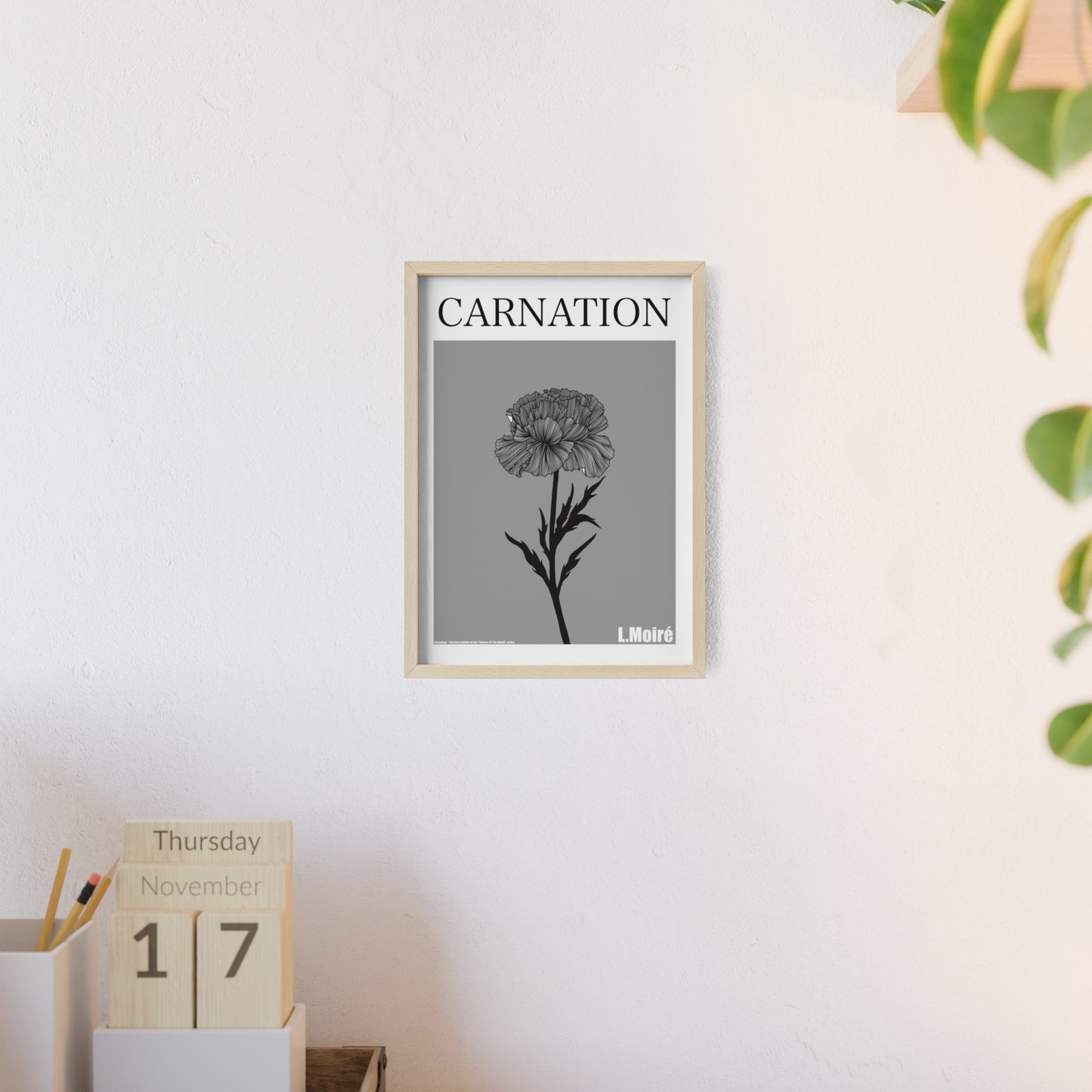 Carnation - The third edition to the - Flower Of The World - series.
