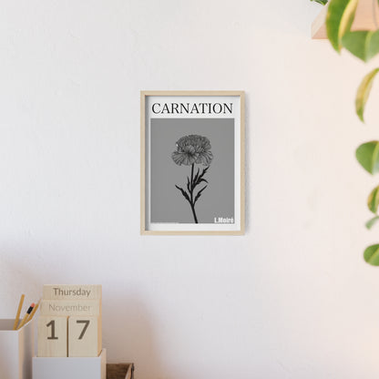 Carnation - The third edition to the - Flower Of The World - series.