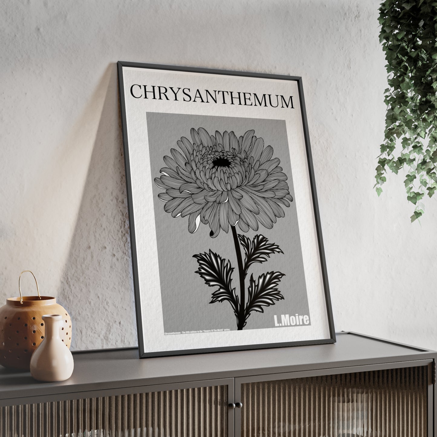 Chrysanthemum - The fifth edition - Flowers Of The World.