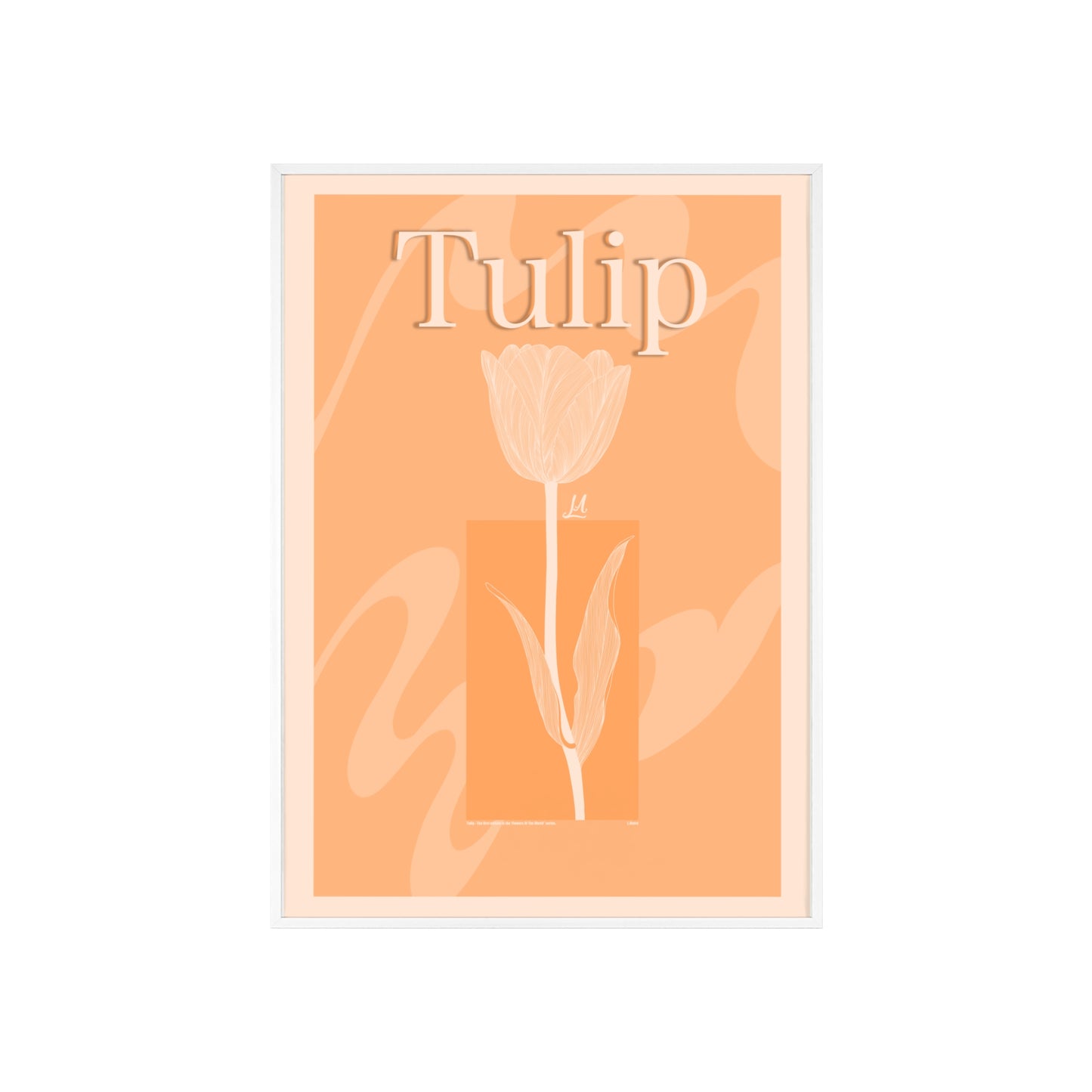 Tulip - The first edition to the - Flowers Of The World - serie. - Framed.