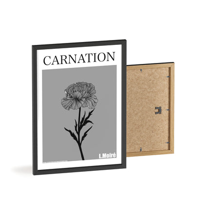 Carnation - The third edition to the - Flower Of The World - series.