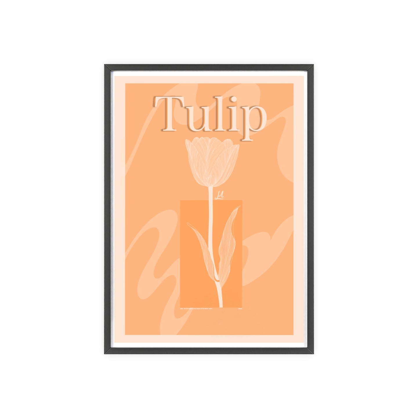 Tulip - The first edition to the - Flowers Of The World - serie. - Framed.