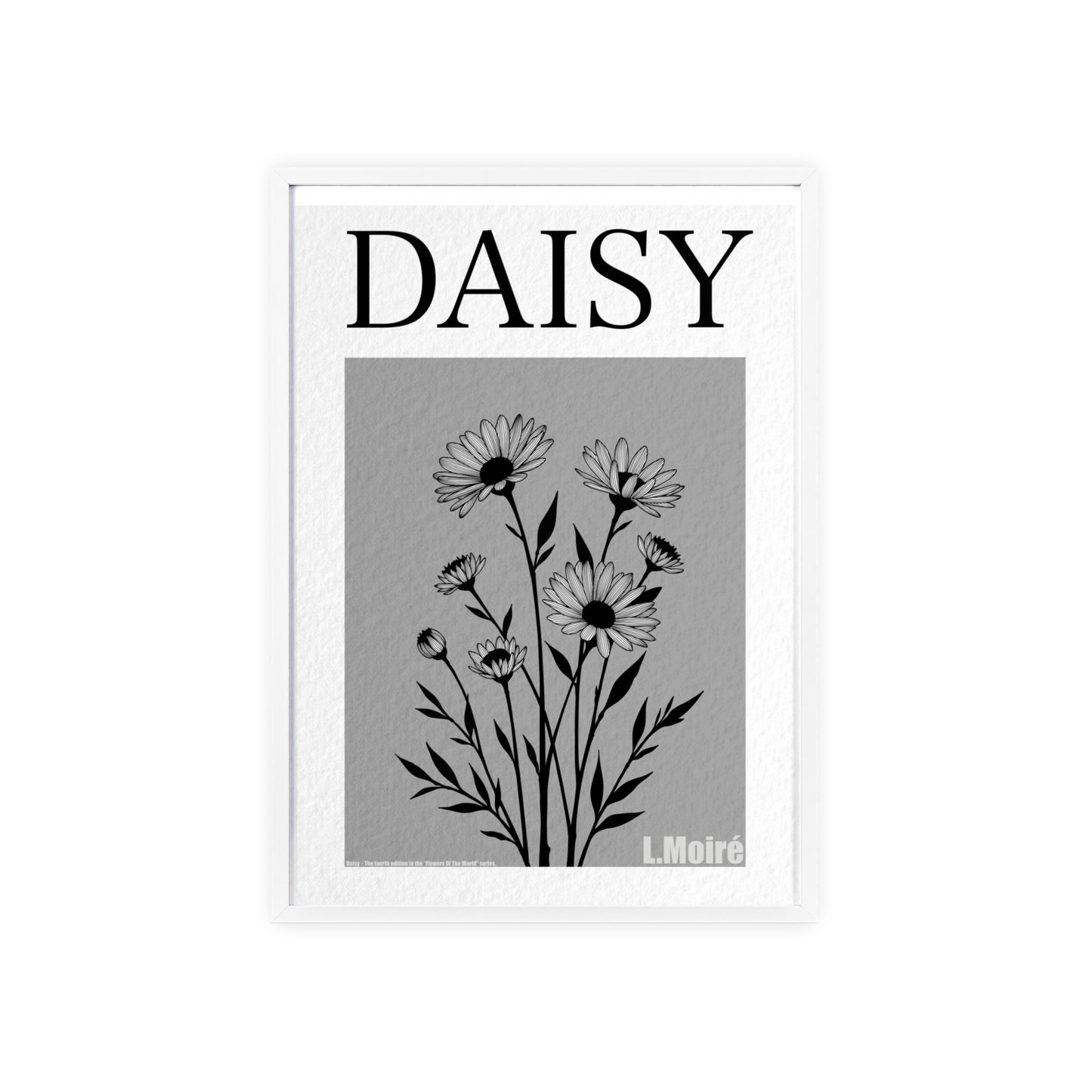 Daisy - The fourth edition - Flowers Of The World.
