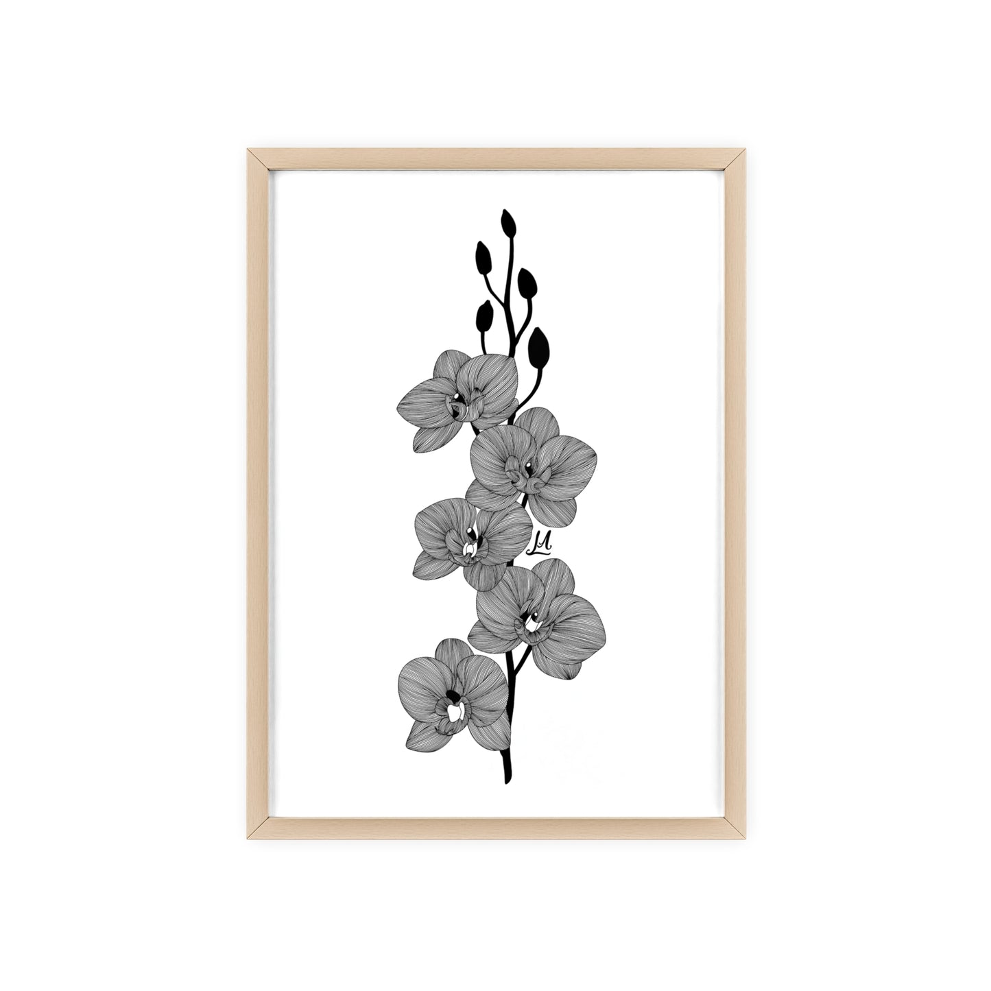 Elegant orchid line artwork - Framed.