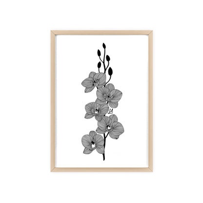 Elegant orchid line artwork - Framed.