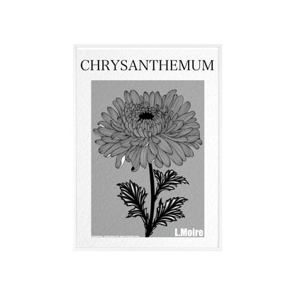 Chrysanthemum - The fifth edition - Flowers Of The World.