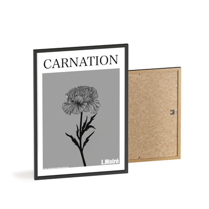 Carnation - The third edition to the - Flower Of The World - series.