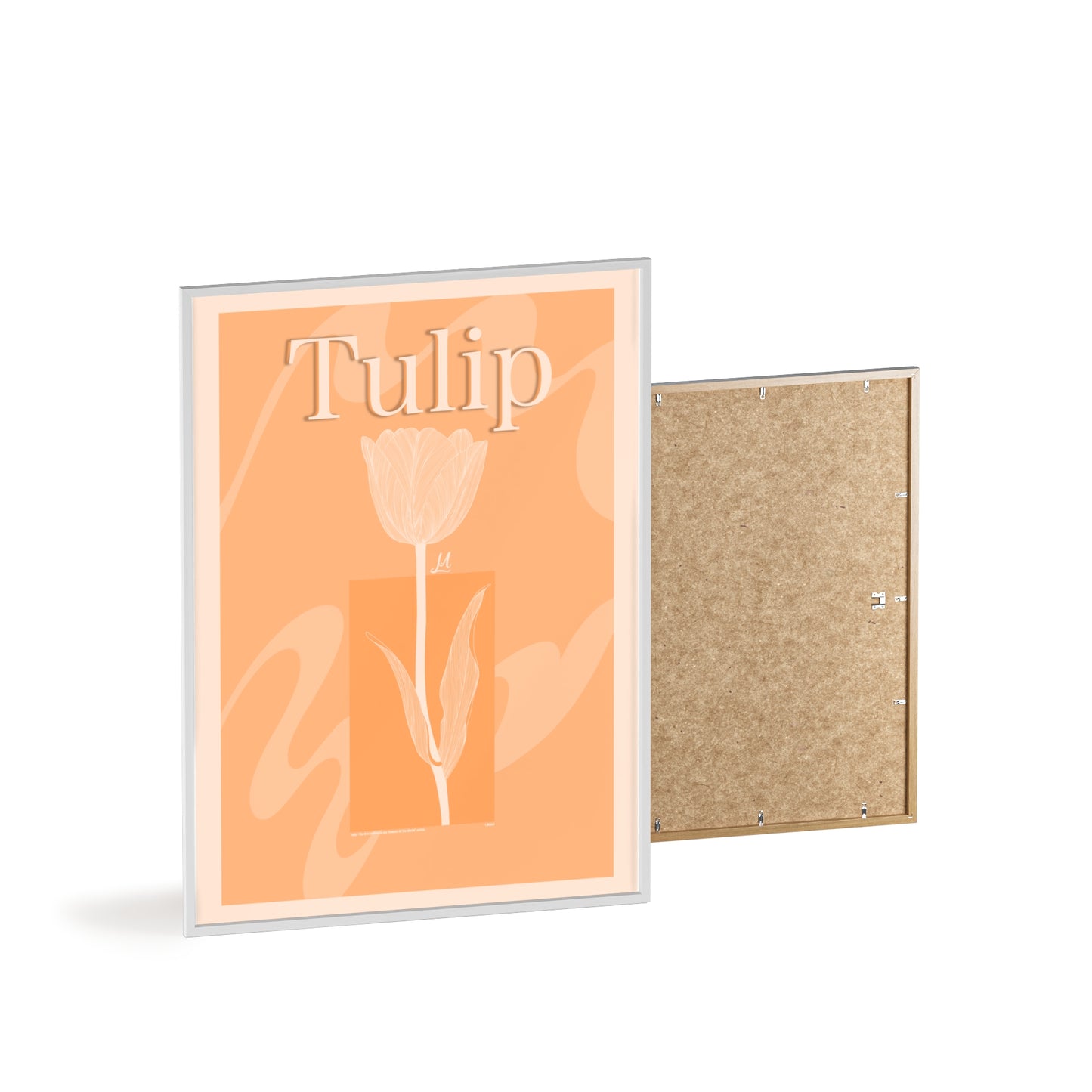 Tulip - The first edition to the - Flowers Of The World - serie. - Framed.