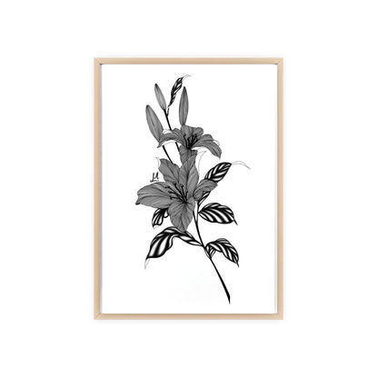 Elegant Floral Wall Art, Black and White Lily artwork - Framed.