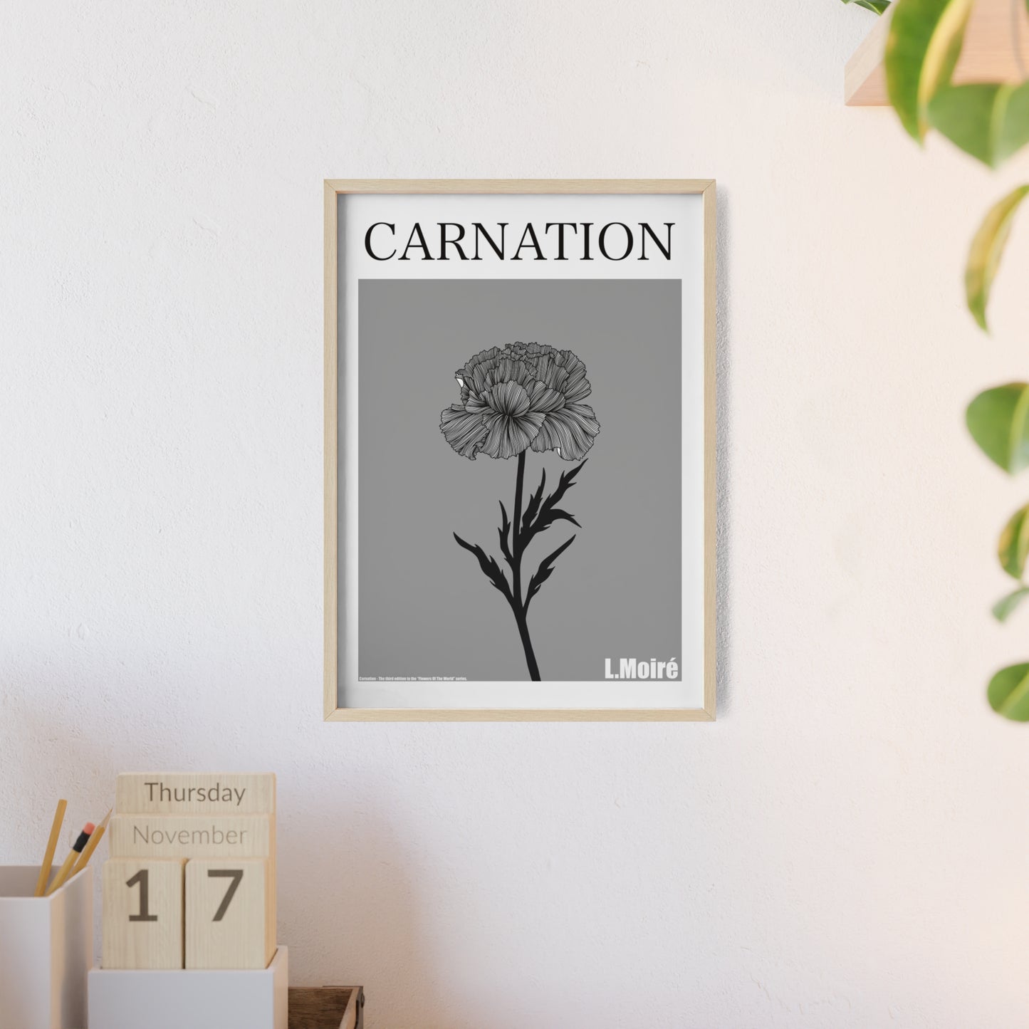 Carnation - The third edition to the - Flower Of The World - series.