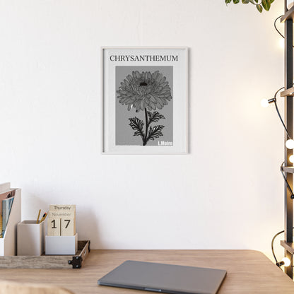 Chrysanthemum - The fifth edition - Flowers Of The World.