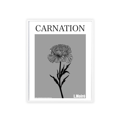 Carnation - The third edition to the - Flower Of The World - series.