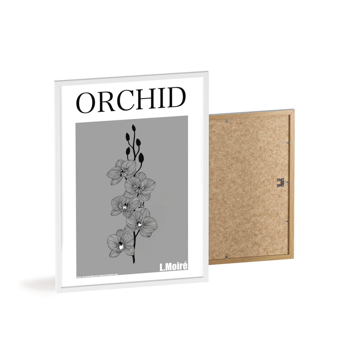 Orchid - The second edition to the - Flowers Of The World - series. - Framed.