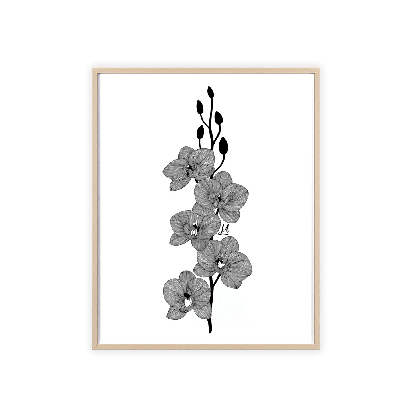 Elegant orchid line artwork - Framed.