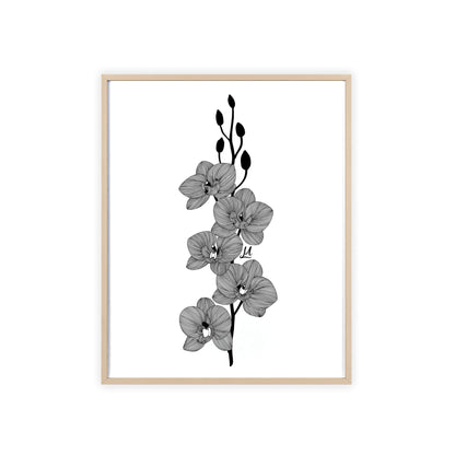 Elegant orchid line artwork - Framed.