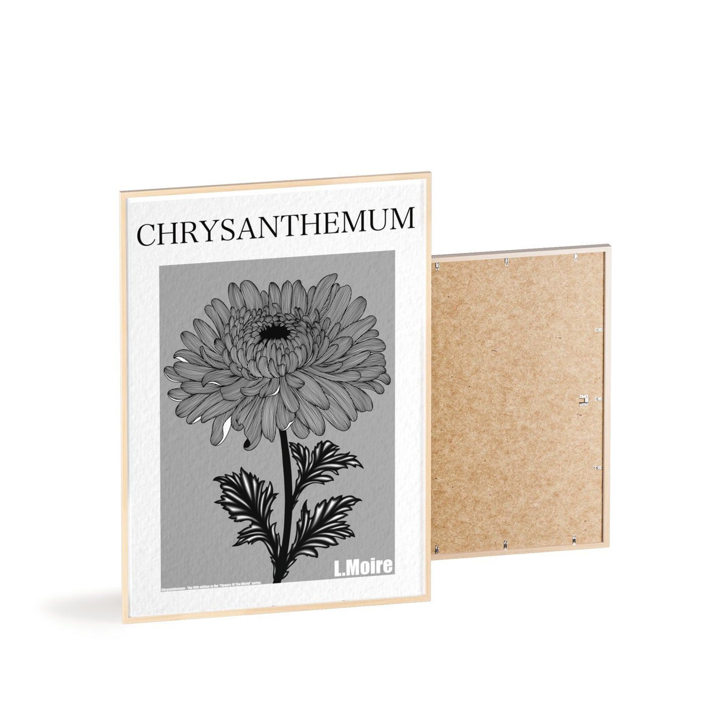 Chrysanthemum - The fifth edition - Flowers Of The World.